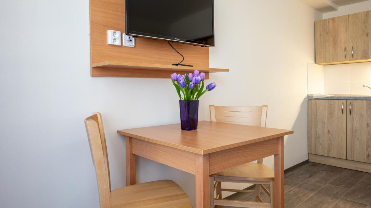 Apartmany A Studia Zamecky Park Litvínov Exterior foto