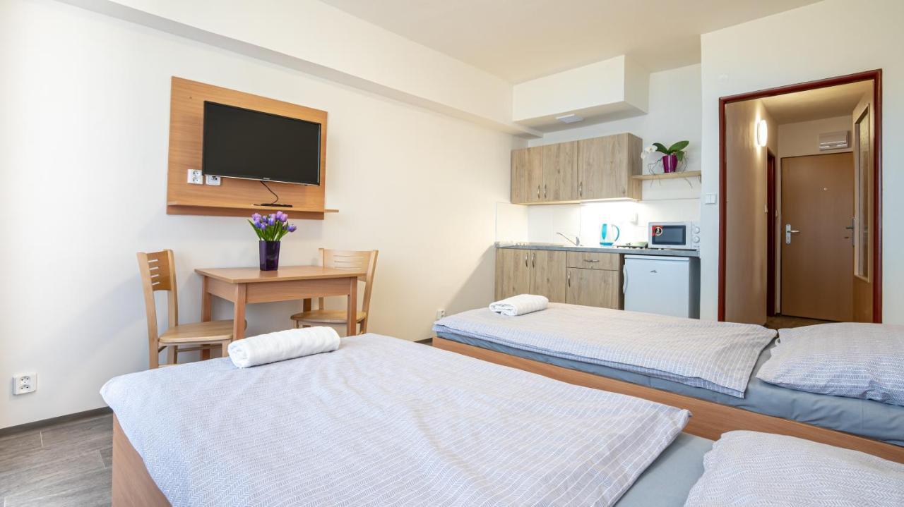 Apartmany A Studia Zamecky Park Litvínov Exterior foto
