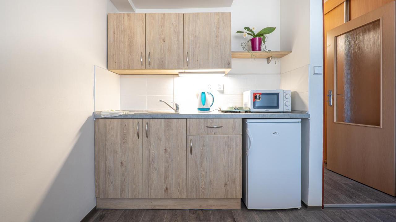 Apartmany A Studia Zamecky Park Litvínov Exterior foto